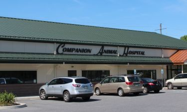 Companion Animal Hospital 